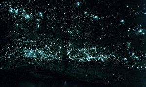 Screen-Shot-2014-10-05-at-6-1.04.04-am2